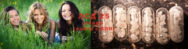 прущая мука Вязники