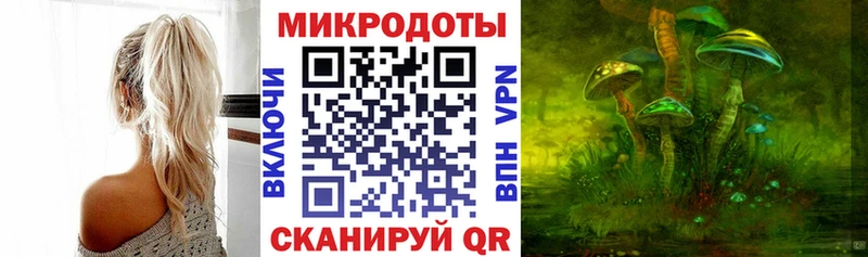 Псилоцибиновые грибы Cubensis  Купить  Янаул 